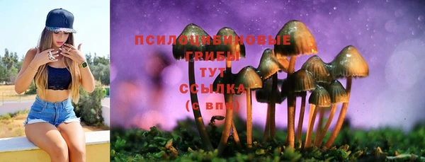 не бодяженный Магас
