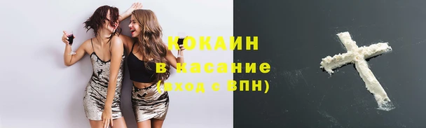 сатива Бугульма