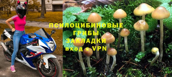 сатива Бугульма
