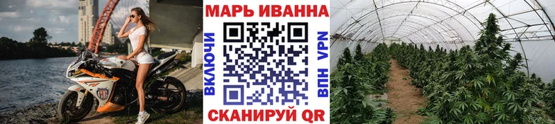 Конопля гибрид  как найти закладки  Весьегонск 